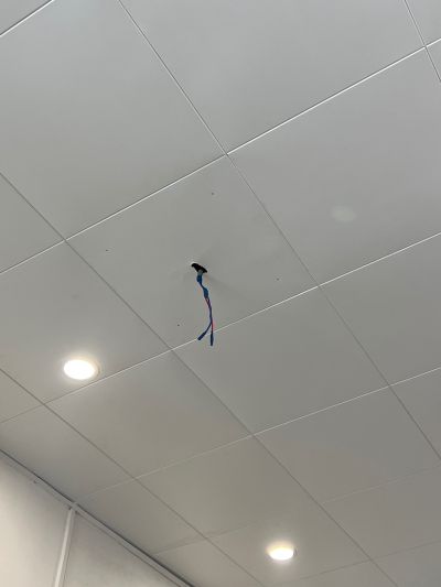 蔡婷欢未编辑专业未编辑专业未编辑专业