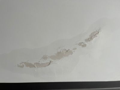 张强未编辑专业未编辑专业未编辑专业