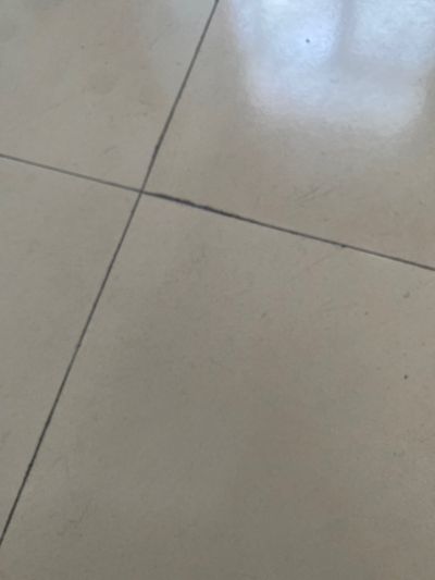 朱泽航未编辑专业未编辑专业未编辑专业
