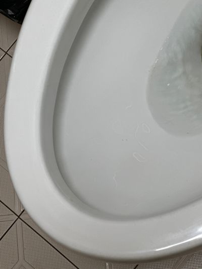 UU未编辑专业未编辑专业未编辑专业