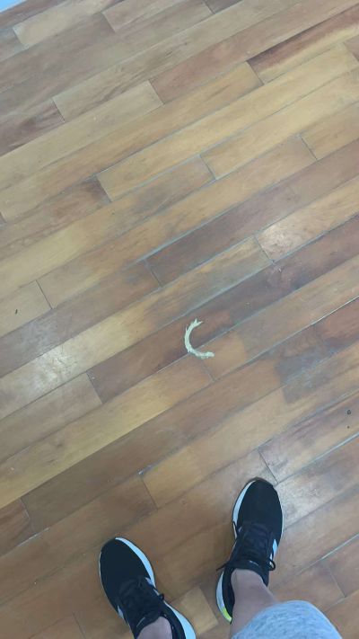 无未编辑专业未编辑专业未编辑专业