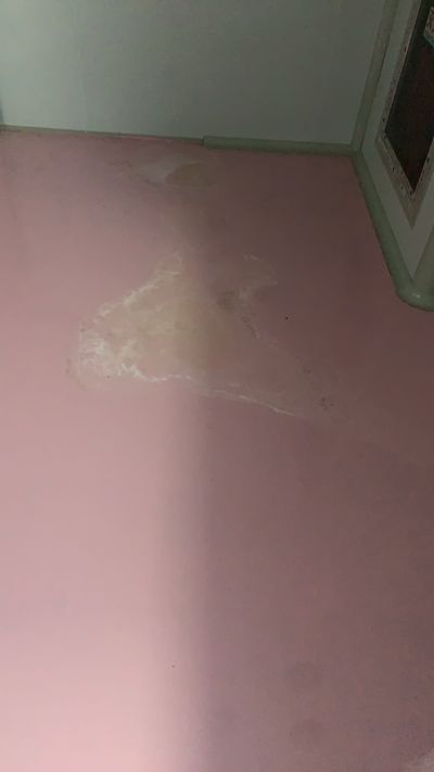 食品未编辑专业未编辑专业未编辑专业