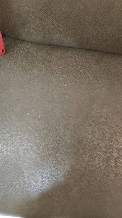 黄小姐未编辑专业未编辑专业未编辑专业