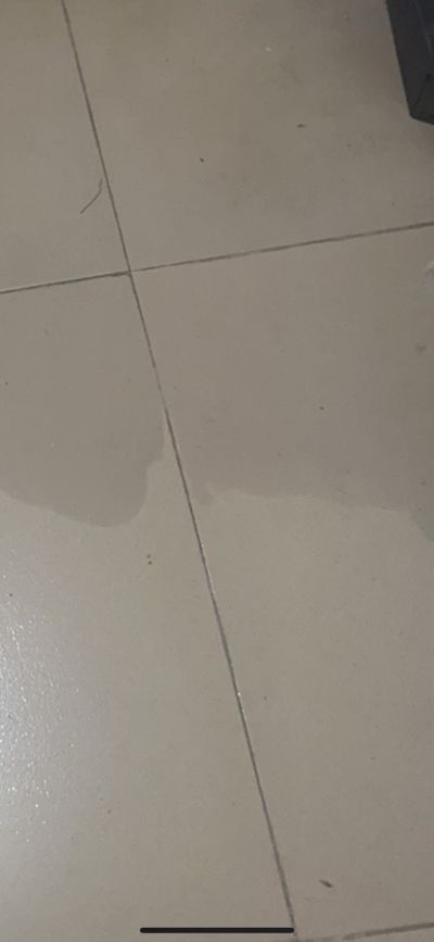 陈威孟未编辑专业未编辑专业未编辑专业