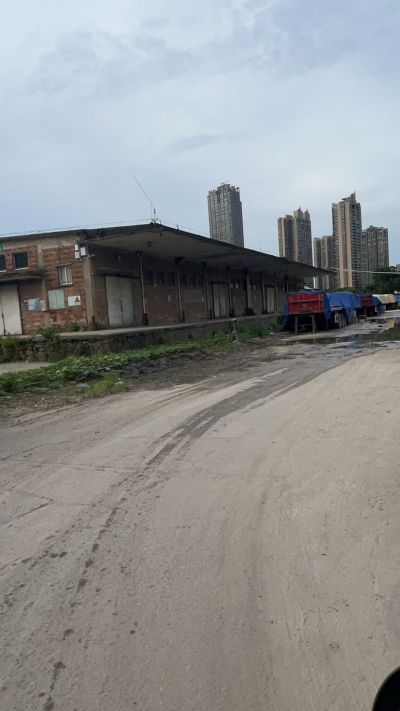 黄毅扬未编辑专业未编辑专业未编辑专业