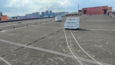 无未编辑专业未编辑专业未编辑专业