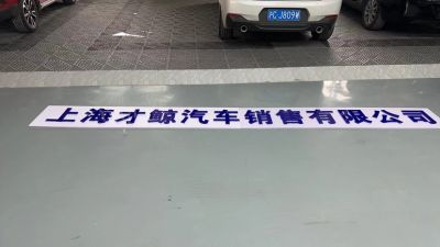 杨杨未编辑专业未编辑专业未编辑专业