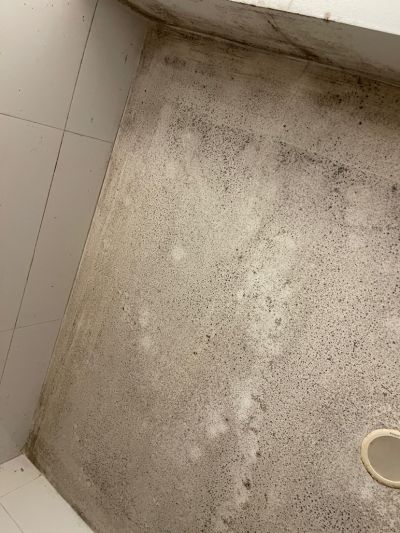 高杨未编辑专业未编辑专业未编辑专业