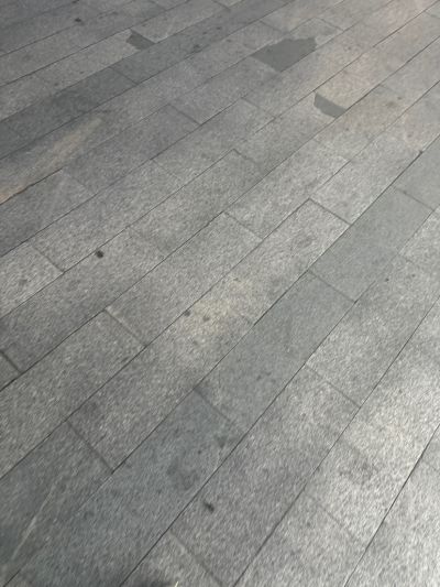 赵霞未编辑专业未编辑专业未编辑专业
