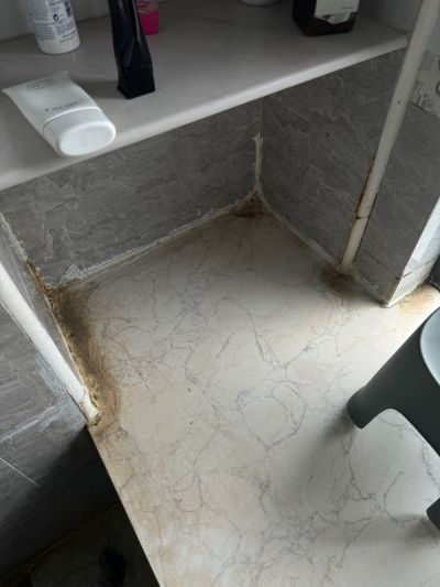 无未编辑专业未编辑专业未编辑专业