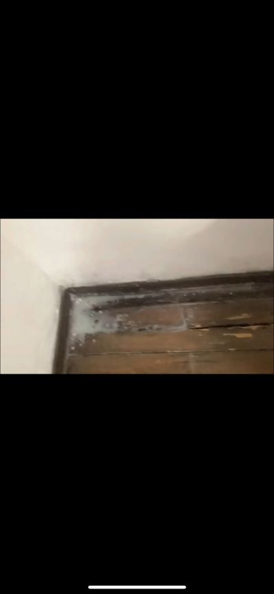 无未编辑专业未编辑专业未编辑专业
