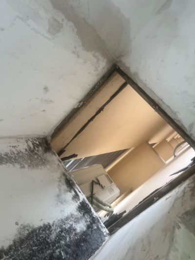 宋军成未编辑专业未编辑专业未编辑专业