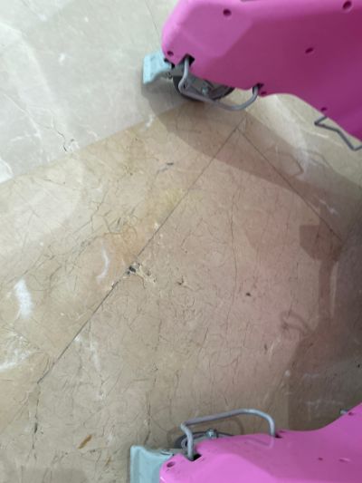 植获洋未编辑专业未编辑专业未编辑专业