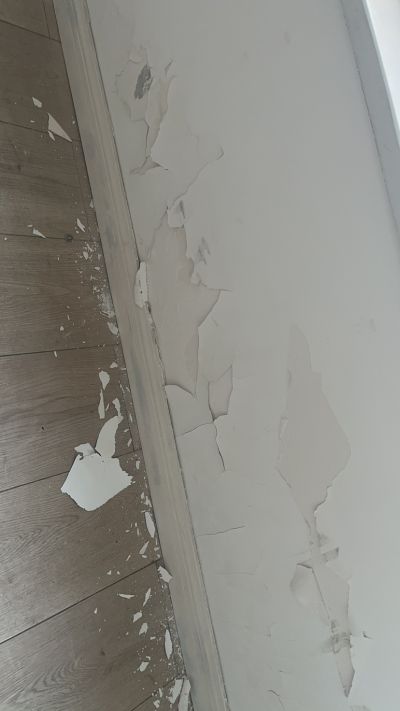 邵先生未编辑专业未编辑专业未编辑专业