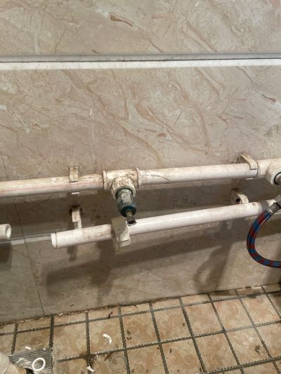 张福建未编辑专业未编辑专业未编辑专业