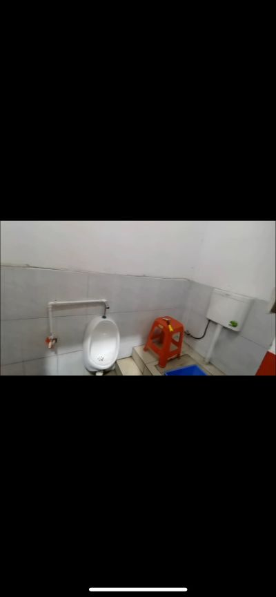 两只牙的兔子未编辑专业未编辑专业未编辑专业