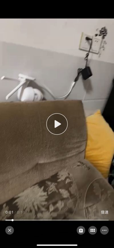 周青未编辑专业未编辑专业未编辑专业