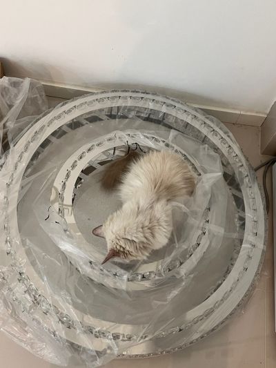 王倩未编辑专业未编辑专业未编辑专业