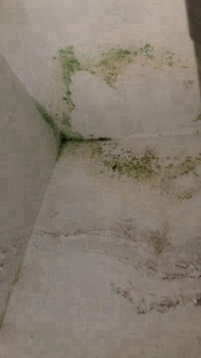 无未编辑专业未编辑专业未编辑专业
