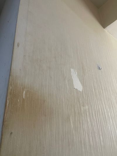 无未编辑专业未编辑专业未编辑专业