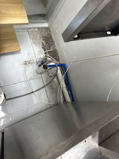 无未编辑专业未编辑专业未编辑专业