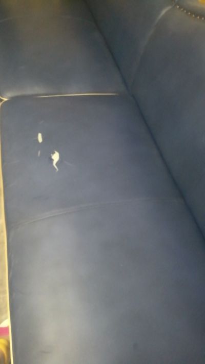 小陈未编辑专业未编辑专业未编辑专业
