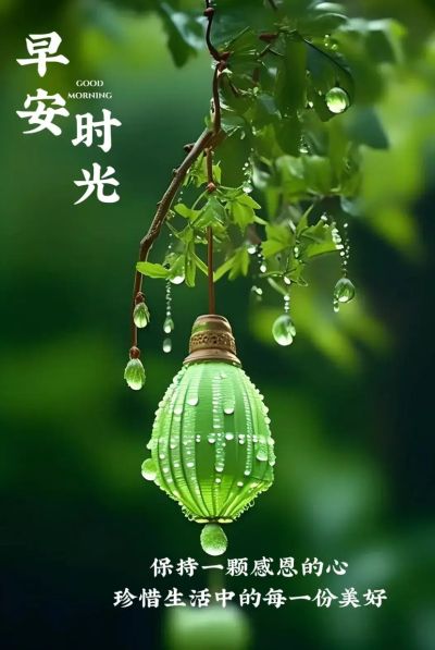 无未编辑专业未编辑专业未编辑专业