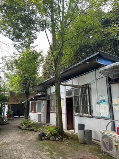 杨静未编辑专业未编辑专业未编辑专业