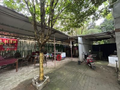 杨静未编辑专业未编辑专业未编辑专业