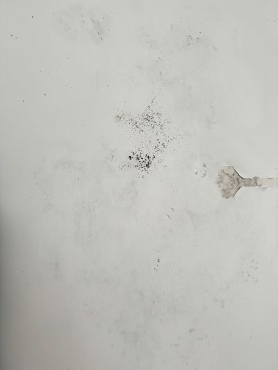 庄先生未编辑专业未编辑专业未编辑专业