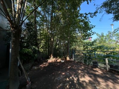 杨静未编辑专业未编辑专业未编辑专业