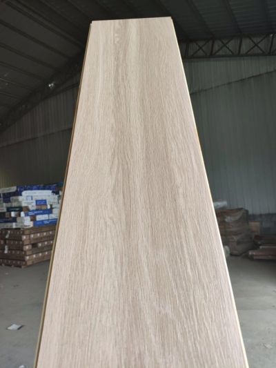 曾环果未编辑专业未编辑专业未编辑专业