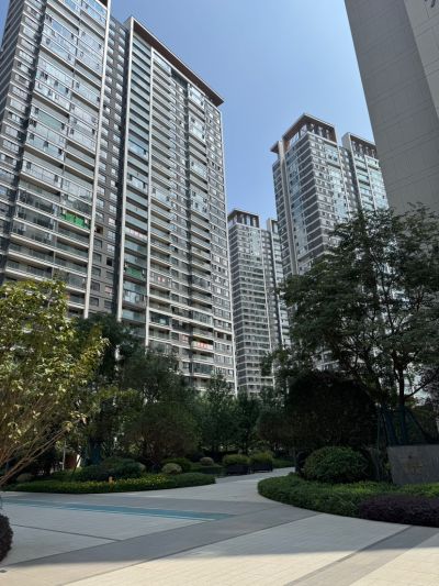 黎未编辑专业未编辑专业未编辑专业