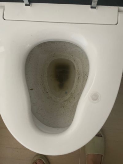 如初未编辑专业未编辑专业未编辑专业