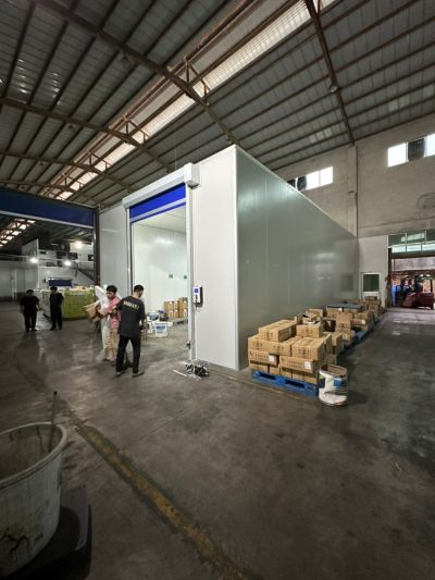 陈浩未编辑专业未编辑专业未编辑专业