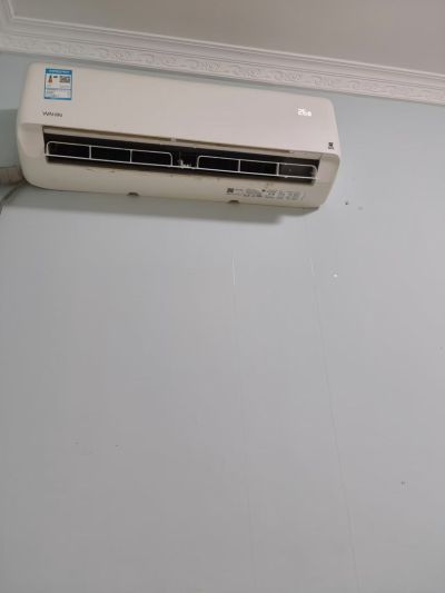 毛毛虫未编辑专业未编辑专业未编辑专业