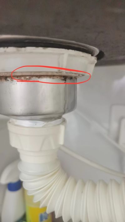 赵海燕未编辑专业未编辑专业未编辑专业