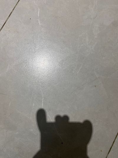 1未编辑专业未编辑专业未编辑专业