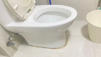 潘亦珊未编辑专业未编辑专业未编辑专业