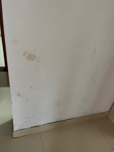 毛婷未编辑专业未编辑专业未编辑专业
