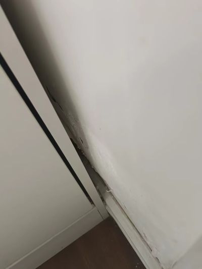晨晨未编辑专业未编辑专业未编辑专业