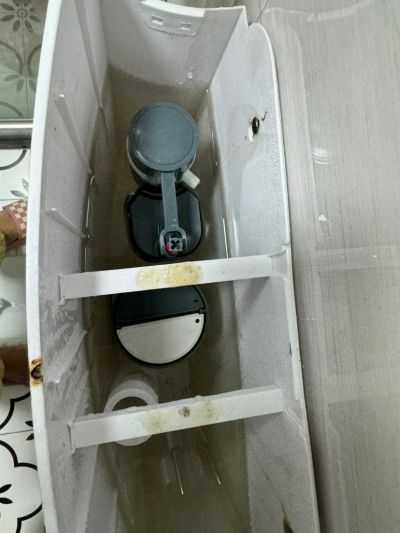 陈未编辑专业未编辑专业未编辑专业