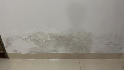 刘未编辑专业未编辑专业未编辑专业