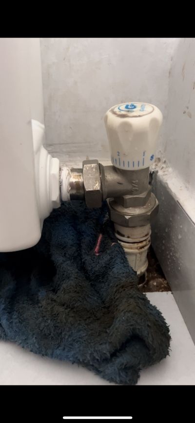 王海波未编辑专业未编辑专业未编辑专业