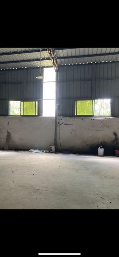 吴丹燕未编辑专业未编辑专业未编辑专业