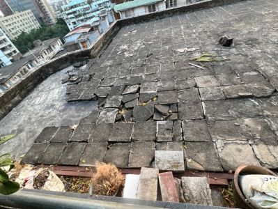 无未编辑专业未编辑专业未编辑专业