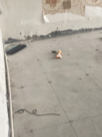 邹先生未编辑专业未编辑专业未编辑专业