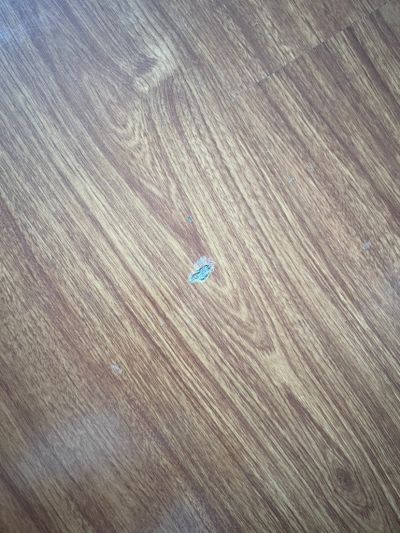 的微博之光的未编辑专业未编辑专业未编辑专业