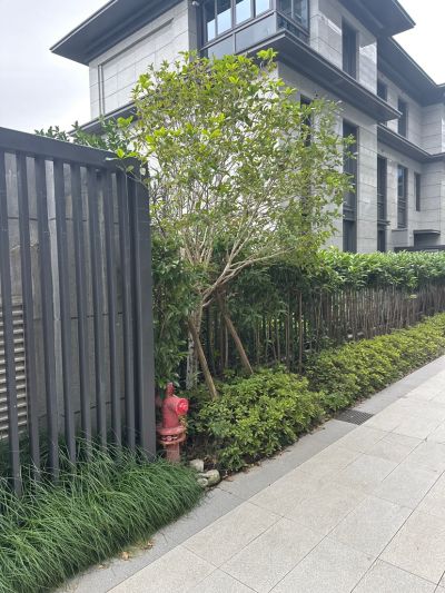马宇波未编辑专业未编辑专业未编辑专业
