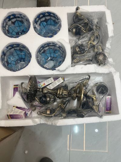 马蕊娅未编辑专业未编辑专业未编辑专业